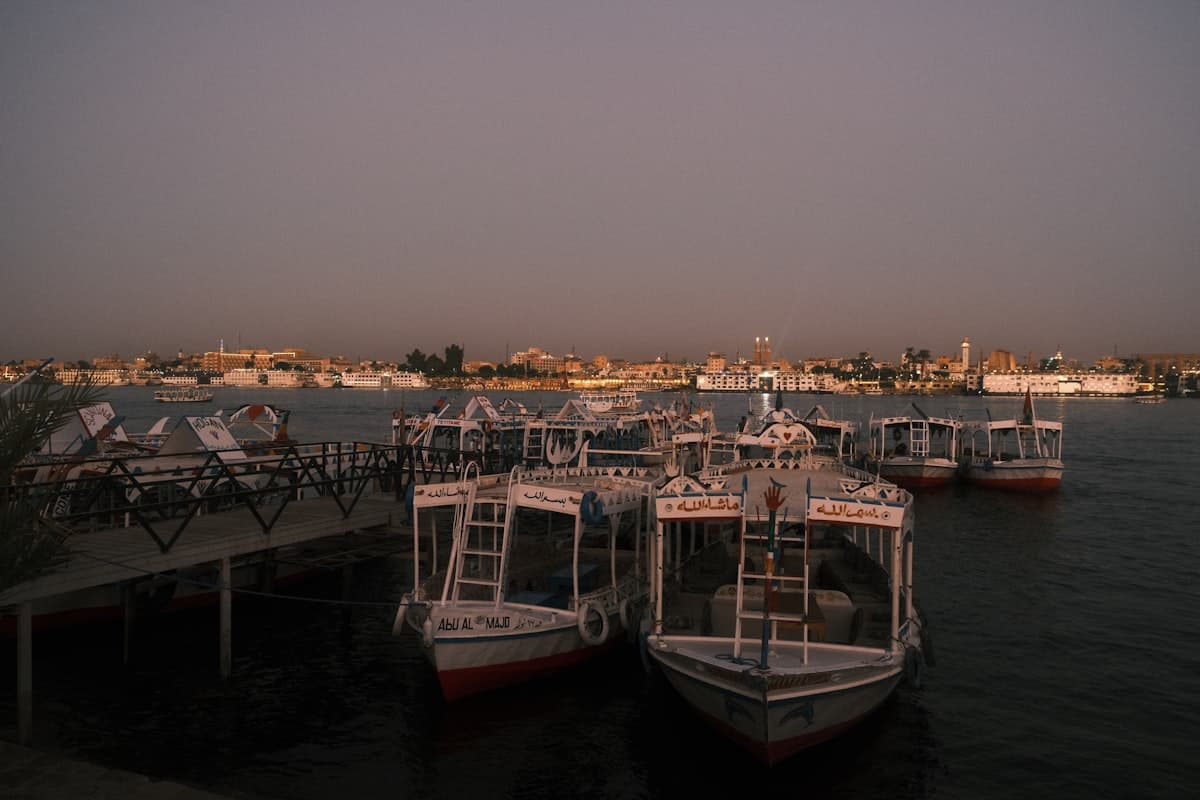 Boats docked on a river with city skyline