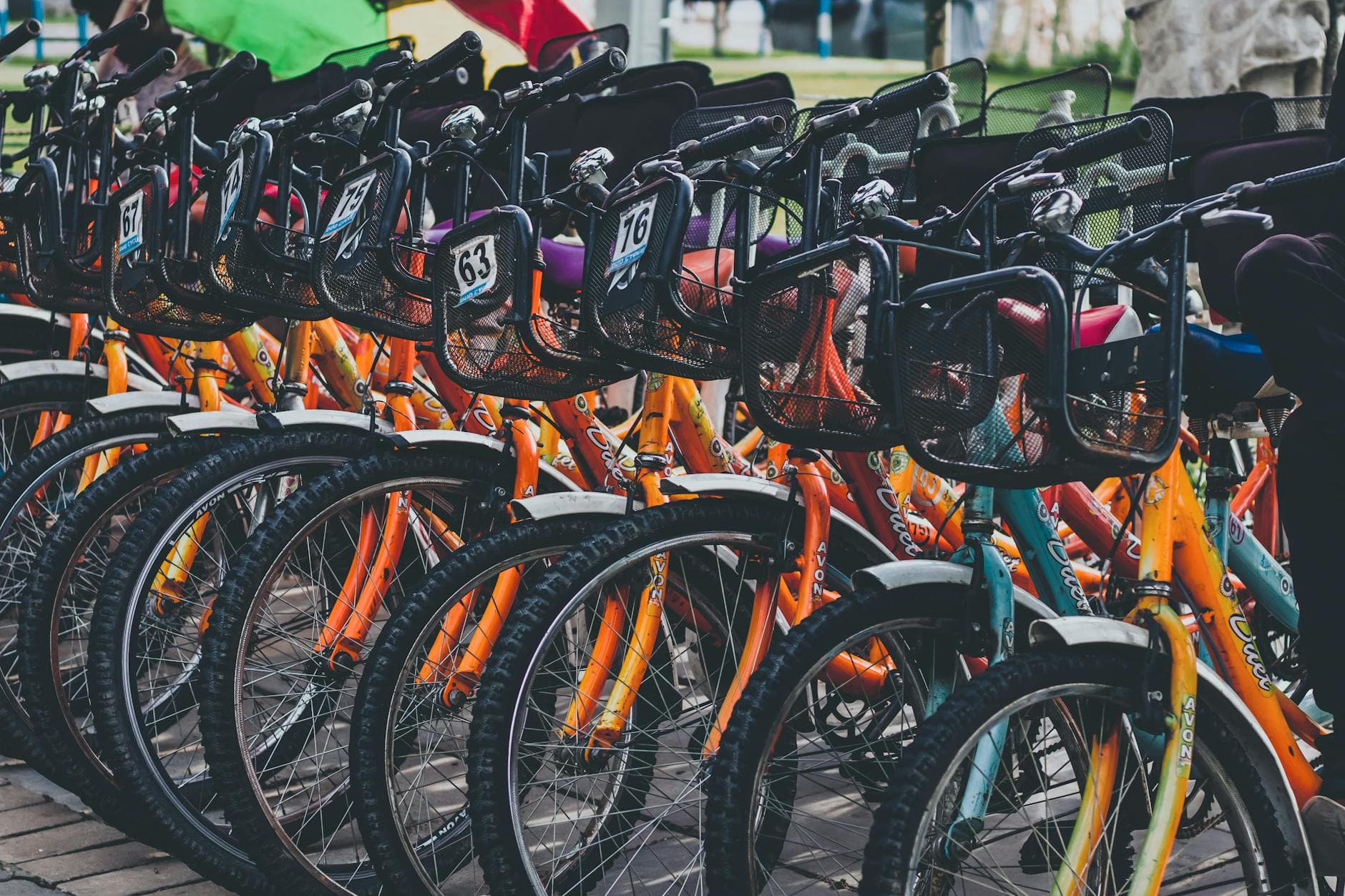 Vibrant and colorful bicycles neatly lined up outside, perfect for rental or urban transportation.