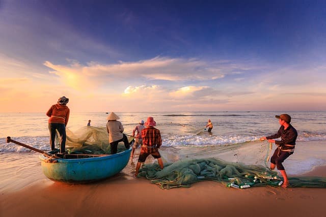 Alexandria Eastern Harbour sunrise fishing boats Qaitbay Citadel