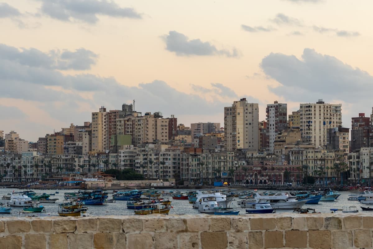 A view of a city with boats in the water
