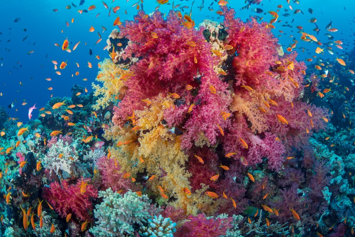 Hurghada Red Sea Travel Guide: Reefs, Resorts & Real Tips