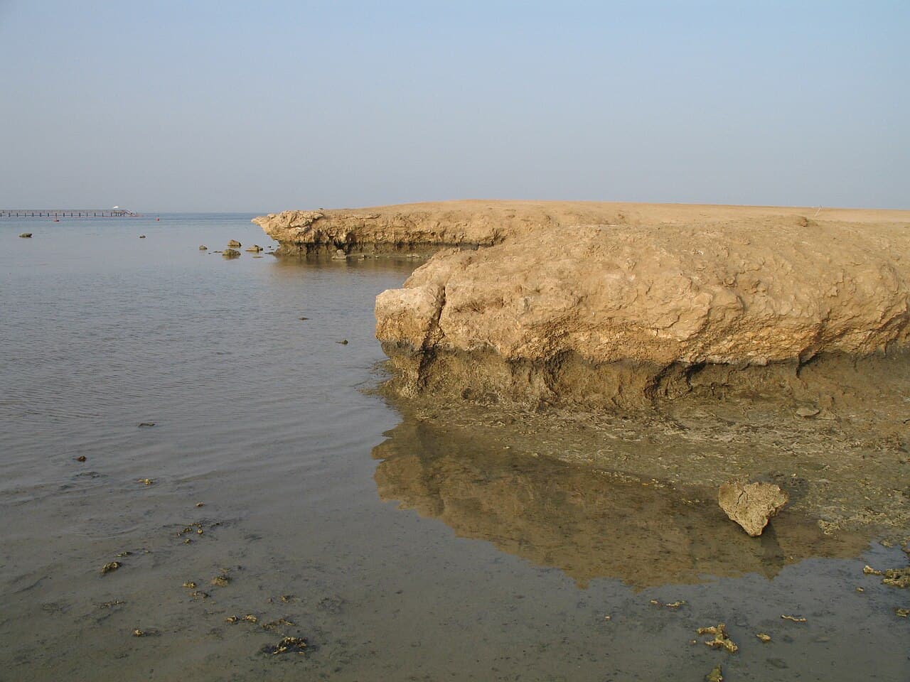 Marsa Alam Diving Guide: Reefs, Wrecks and Sea Turtles