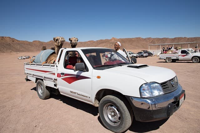 Sinai Bedouin guide camel path Jebel Musa pre-dawn