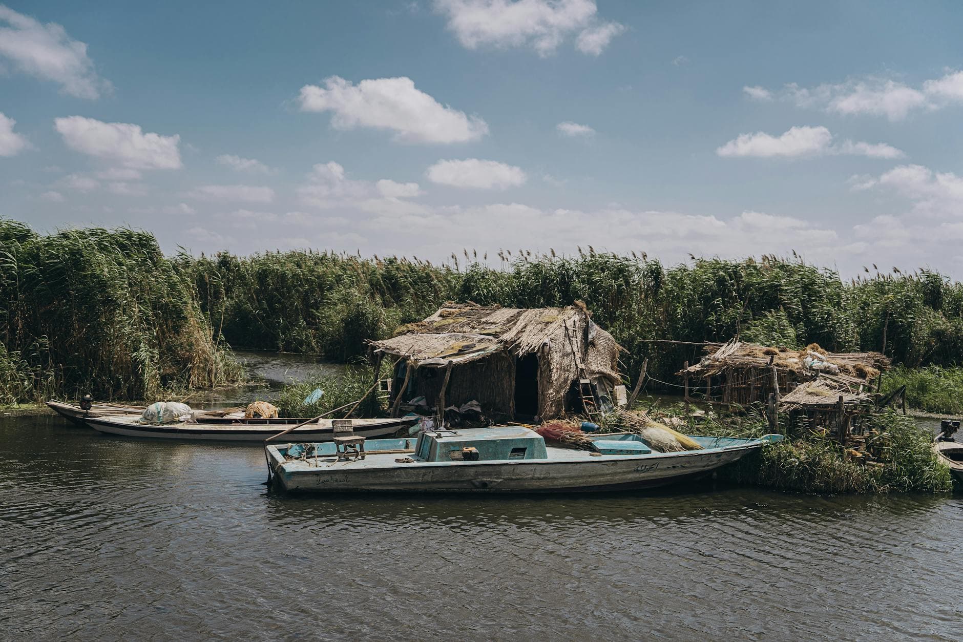 Traditional boats moored by reeds on a tranquil river in Kafr El-Shaikh, Egypt.