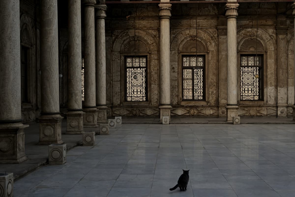 A black cat sits in a large, empty courtyard.
