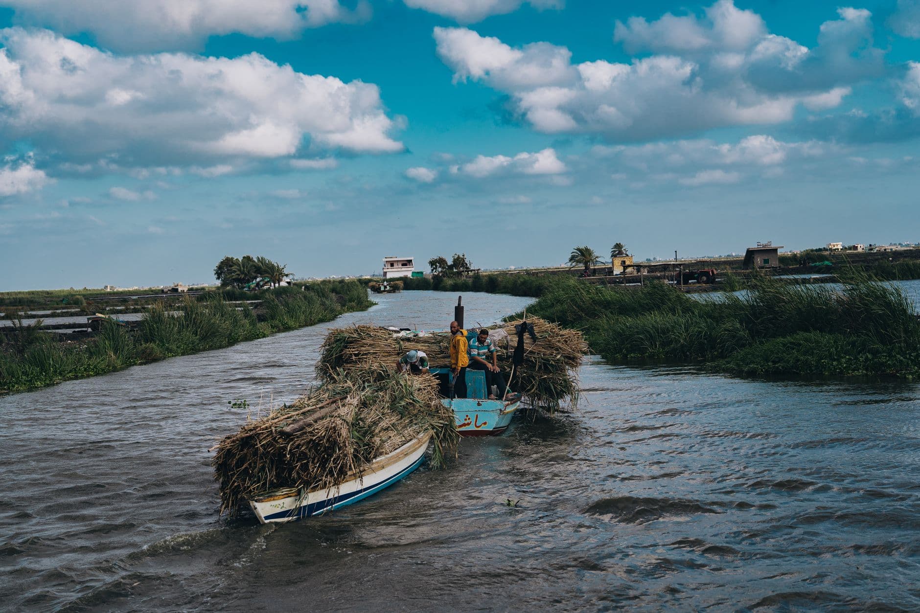 Fishermen navigating a boat loaded with reeds on an Egyptian canal under a vibrant sky.