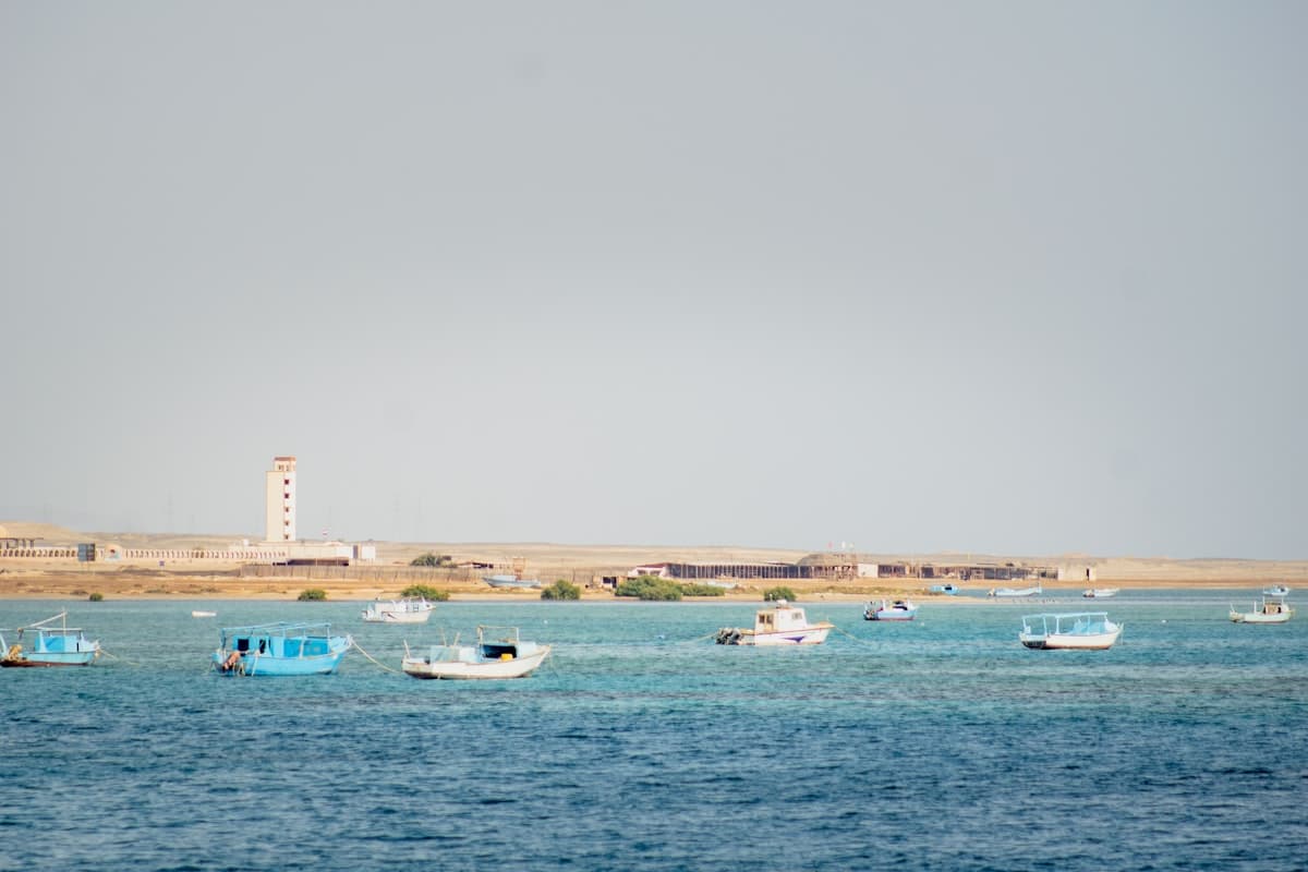 people on beach during daytime
